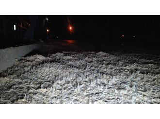 Birgün sineklerinin ’ölümle dansı’ başladı