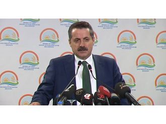 "Bu yıl fındık ücretleri üreticileri tatmin edecek"