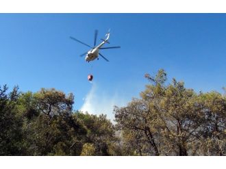 Mersin’de orman yangını