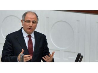 Hangi Suriyelilere vatandaşlık verilecek ?