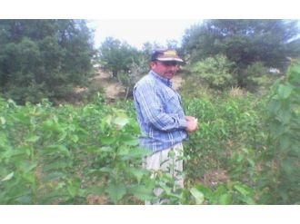 Bir kadın cinayeti daha: Eşini döverek öldürdü !