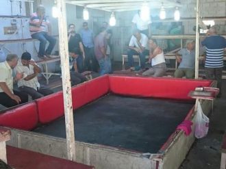 Horoz dövüşüne polis baskını: 28 gözaltı