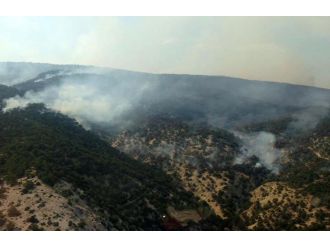 Ankara’da orman yangını