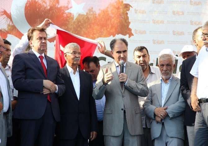 “Darbeciler sinek gibi yok oldu”