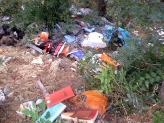 Feto’nun kitapları ormanda bulundu