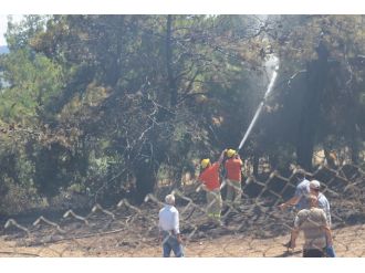 Orman yangını söndürüldü