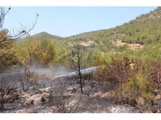 Bodrum’da 5 hektar ormanlık alan küle döndü