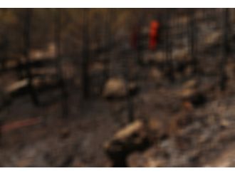 Teröristler, orman işçilerini rehin alıp ormanı yaktılar