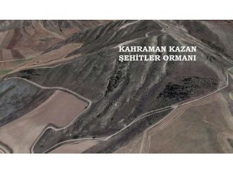 Şehitler Ormanının yeri belli oldu