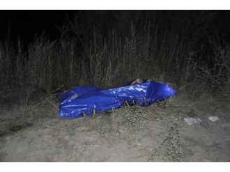 Suriye genç sulama kanalında can verdi