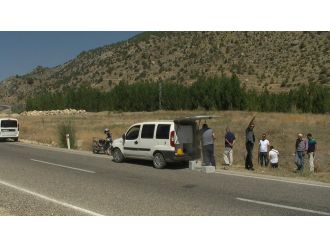 Yol kenarında suikast silahı bulundu
