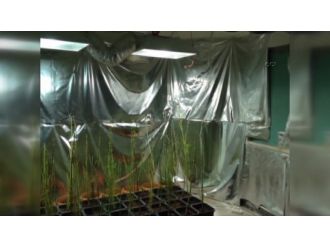 Fuhuş ihbarıyla lüks villaya baskın düzenleyen polis uyuşturucu buldu