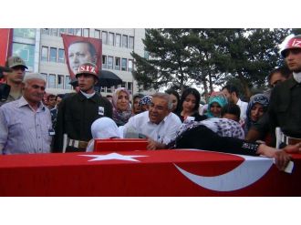 Van şehidine ağladı