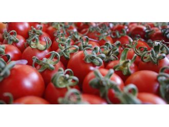 İstanbul’un zam şampiyonu o !