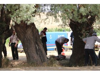 Derede ağzı poşetle bağlanmış ceset bulundu