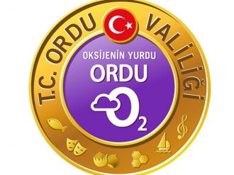 Ordu’daki saldırıyla ilgili tim komutanı açığa alındı