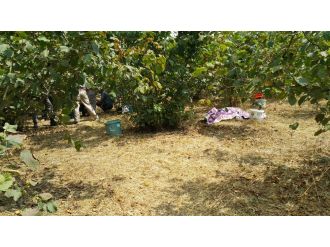 Ailesine kurşun yağdırdı: 2 ölü, 3 yaralı