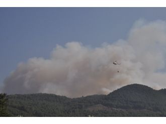 Mangaldan çıkan yangın ormanlık alana sıçradı