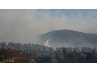 Yangın bir türlü söndürülemiyor: 2 kişi gözaltında