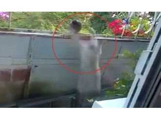 Avını kaçıran kedi hüsrana uğradı