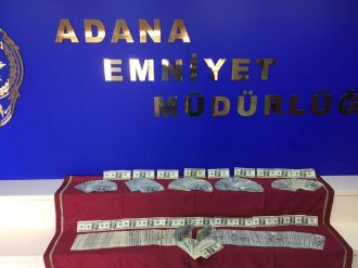 FETÖ’nün kadın kuryesi 100 bin dolarla kaçarken yakalandı