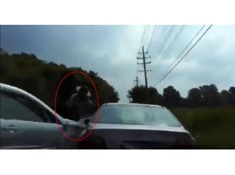 Cip ehliyet kontrolü yapan polise çarptı