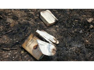 FETÖ’cüler Gülen’in kitaplarını yakarken ormanı yaktı