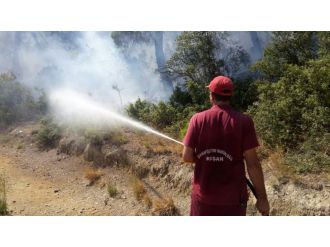 Saros’un ciğerlerinde yangın çıktı