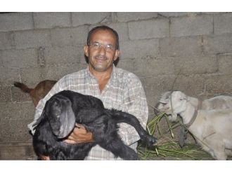 Tek mal varlığı olan keçilerini bağışlıyor