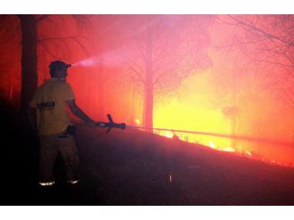 Kazdağları’nda orman yangını