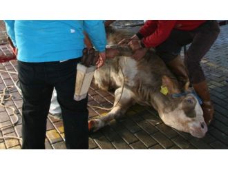 FETÖ’nün ’kurban’ oyunu