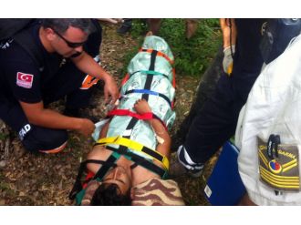 Balık avlamak isterken ayıya av oluyorlardı