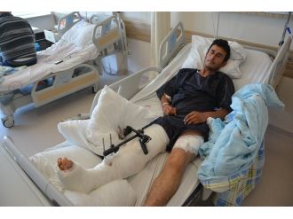 Ayı saldırısını anlattılar