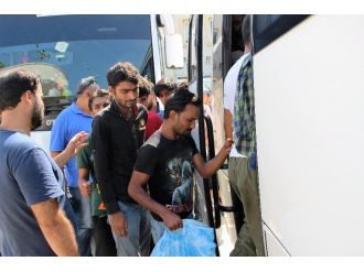 239 kaçak mülteci yakalandı