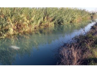 Sulama kanalına giren kız kardeşler kurtarılamadı