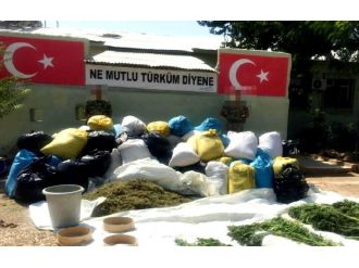 Diyarbakır’da 2 ton esrar ele geçirildi