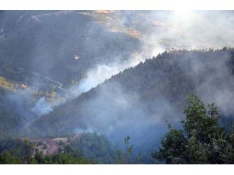 3 gün sonra kontrol altına alındı