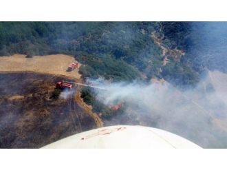 Şimdi de Çanakkale yanıyor