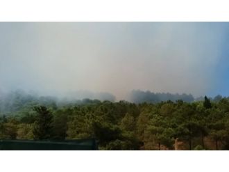 Maltepe’de orman yangını