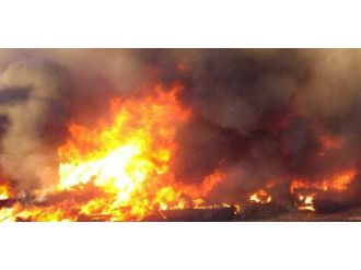 Sınırda patlama: 4 ölü, 4 yaralı