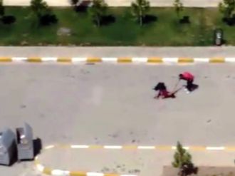 Kardeşini tüfekle vurdu