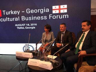 Bakan Çelik’ten Gürcistan’a 15 Temmuz teşekkürü