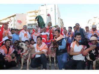 Böyle yürüyüş görülmedi: Kangal ve koç da vardı