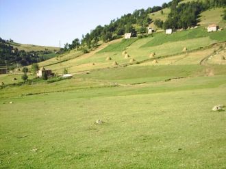 Ordu’da çatışma!