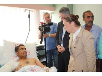 "Terör örgütleri ortak akıl tarafından yönetiliyor"