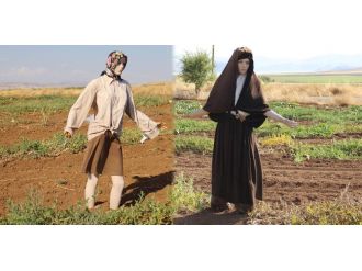 Tarlanın 4 bir tarafına koydular