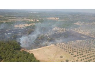 Çanakkale’de orman yangını