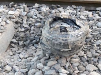 Ortalığı kana bulayacaklardı