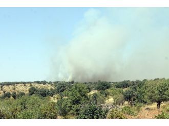 Yola döşenen 1,5 ton patlayıcı imha edildi