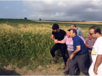 Şehit ateşi Balıkesir’e düştü